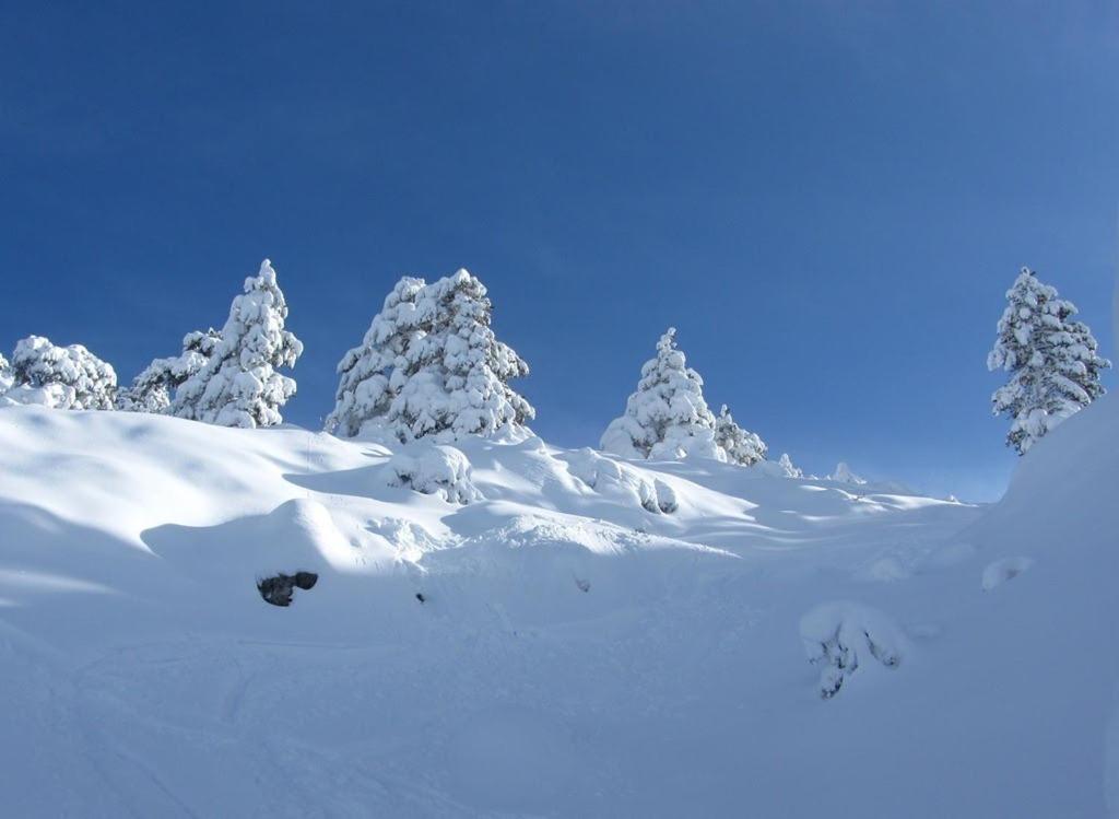 Appartamento Javalambre Mountain Superski Camarena de la Sierra Esterno foto