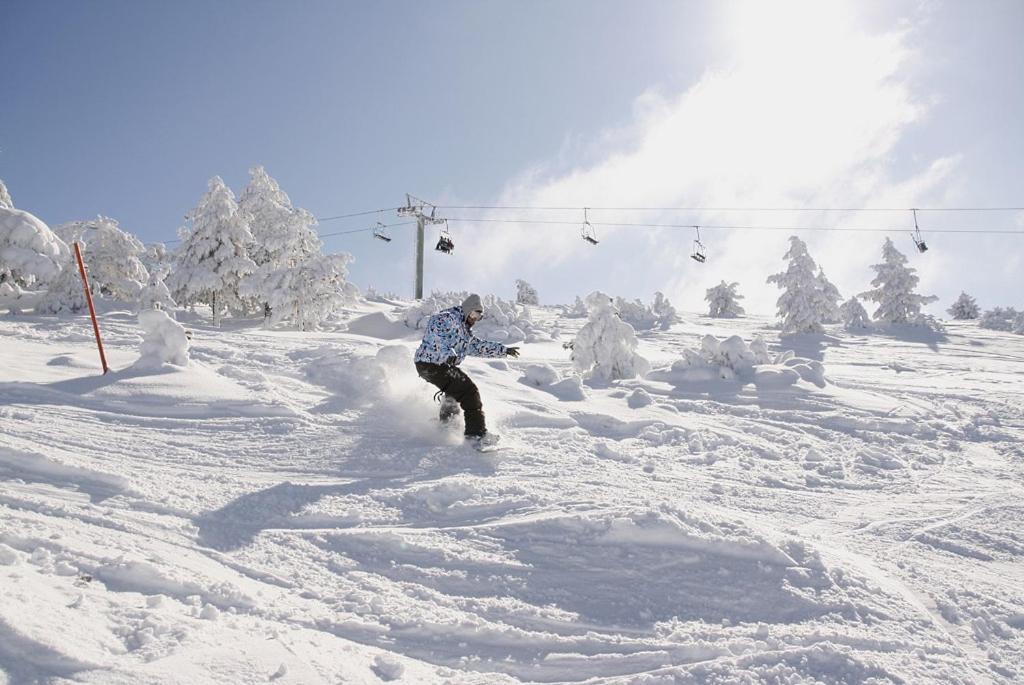 Appartamento Javalambre Mountain Superski Camarena de la Sierra Esterno foto